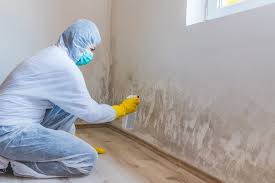 Best Environmental Consulting for Mold Prevention  in Helena, AL