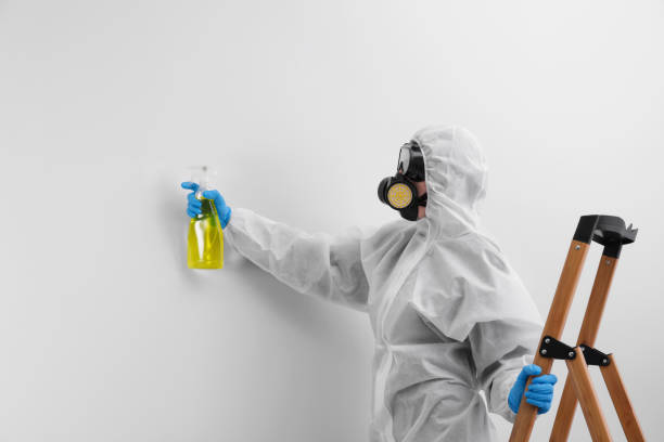 Best Forensic Mold Investigation  in Helena, AL